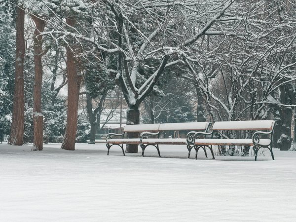 Voxione 2 : découvrez le smartphone innovant pour les malvoyants