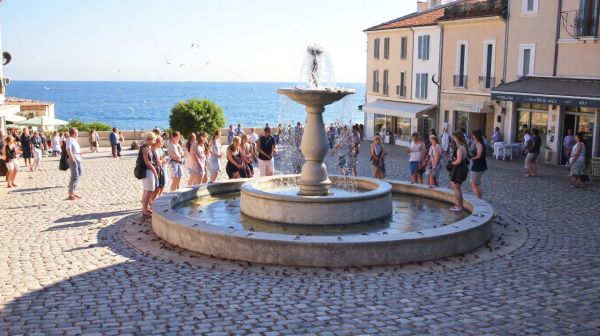 Top conseils pour réussir votre dératisation à la Seyne-sur-Mer