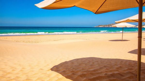 Top conseils pour réussir votre dératisation à la Seyne-sur-Mer